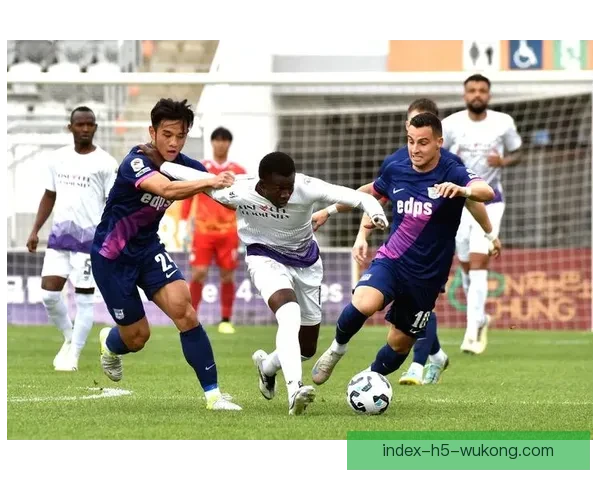 香港哪里可以观看足球直播及相关平台推荐